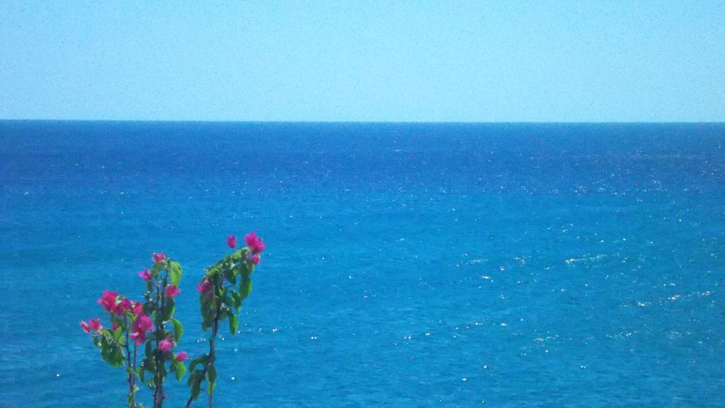 Ladikos Beach Hotel Kardamena  Стая снимка