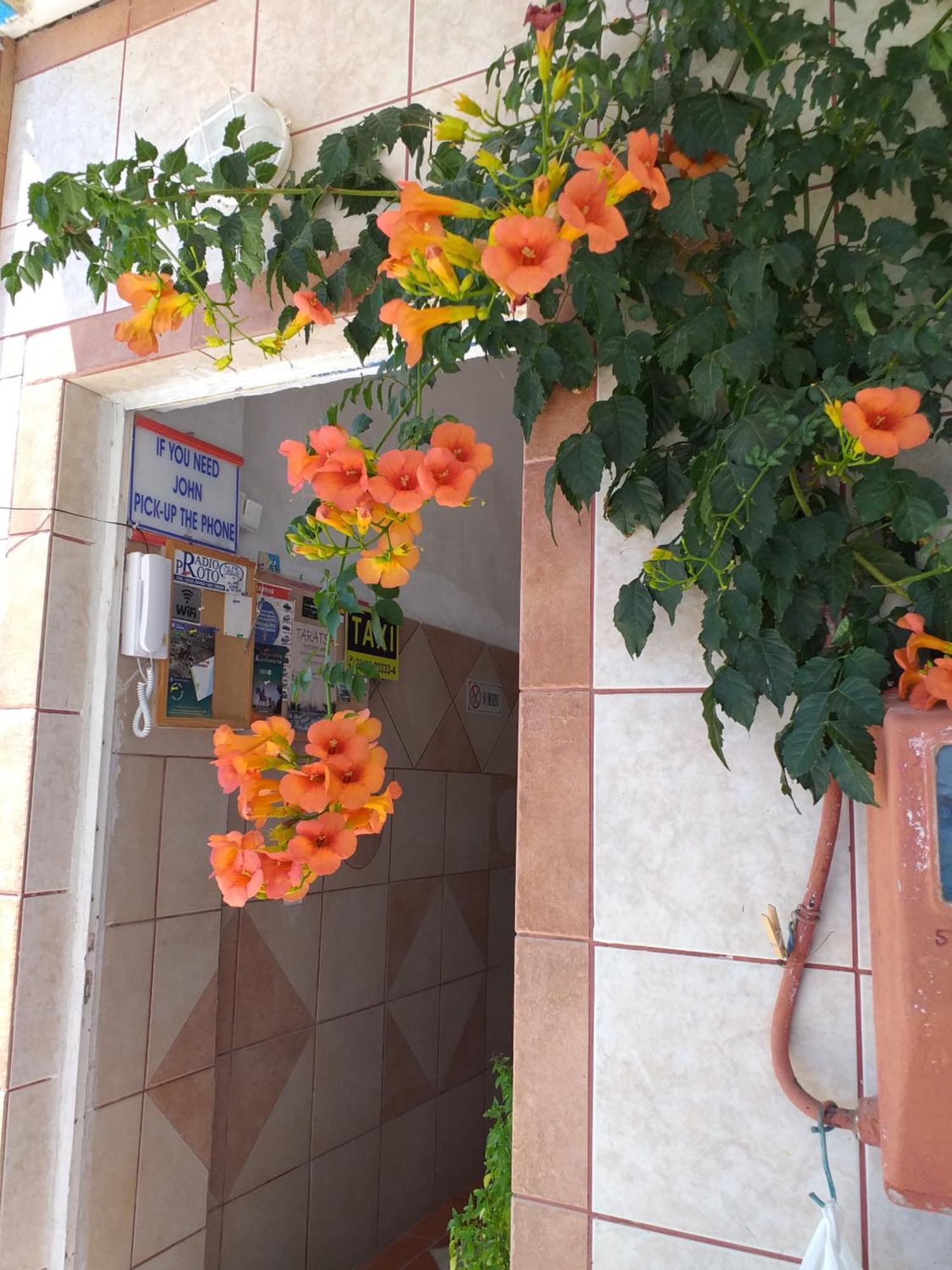 Ladikos Beach Hotel Kardamena  Екстериор снимка